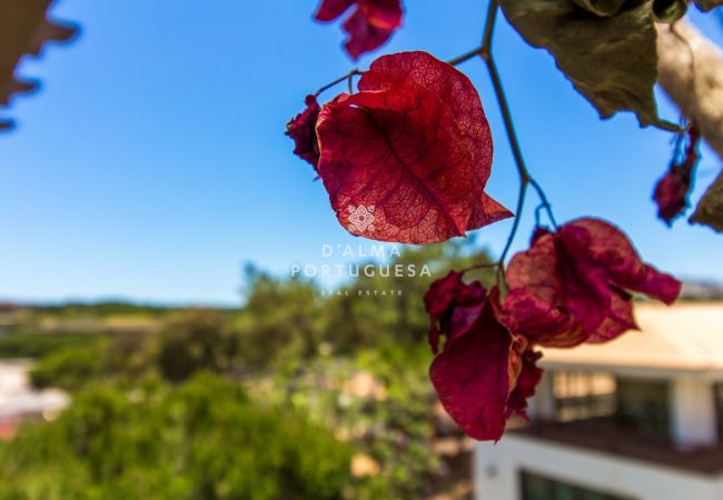  in Albufeira - Falésia Beach Apartment by D'Alma Portuguesa