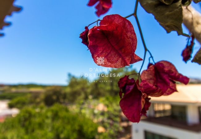  in Albufeira -  Falésia Beach Apartment - By D´alma Portuguesa