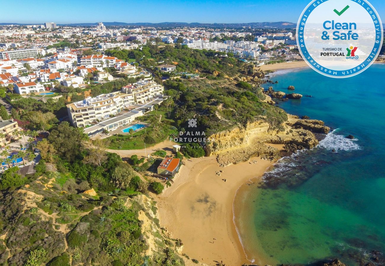Apartment in Albufeira - Amado by D'Alma Portuguesa