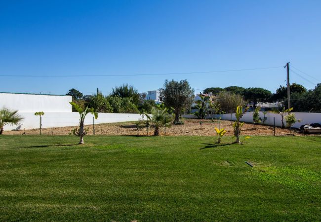 Villa in Albufeira - Villa Videira - By Dalma Portuguesa Villa in Albufeira - Villa Videira - By Dalma Portuguesa