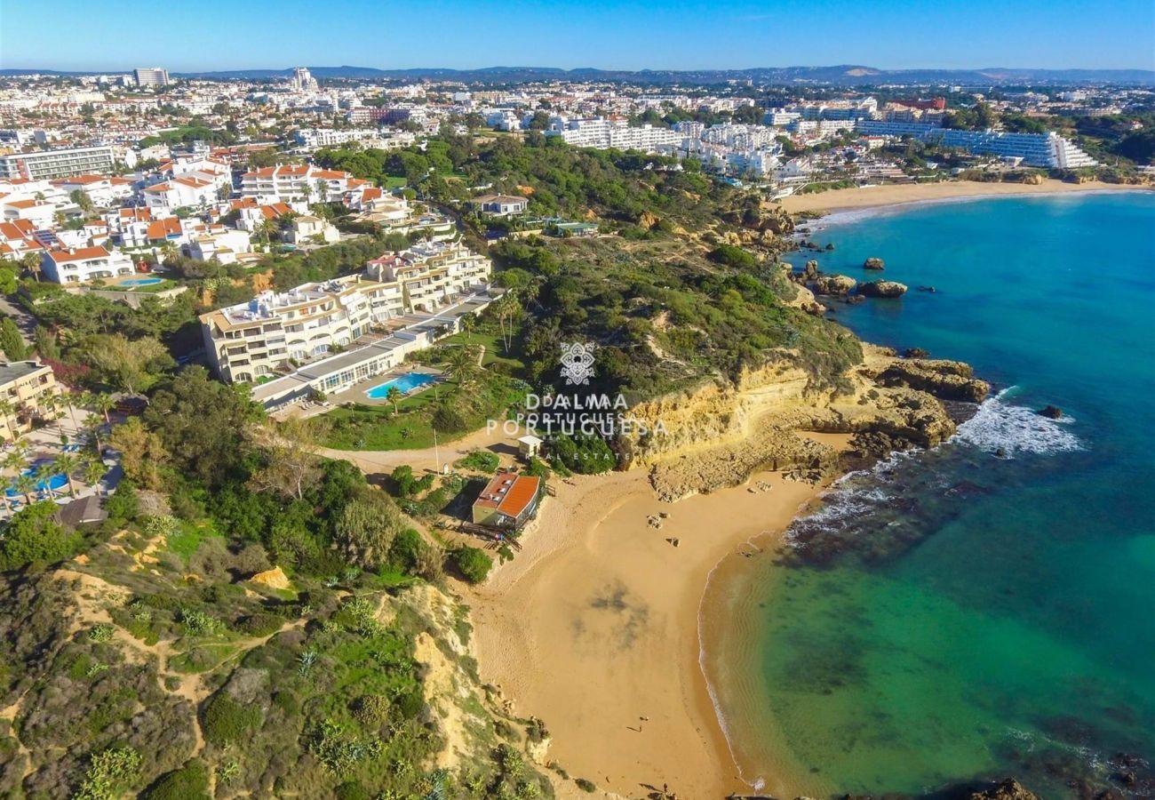 Apartment in Albufeira - Aveiros Beach Apartment- Ocean View By D´alma Port