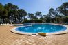 Apartment in Albufeira - Pine View Falésia Beach by D'Alma Portuguesa